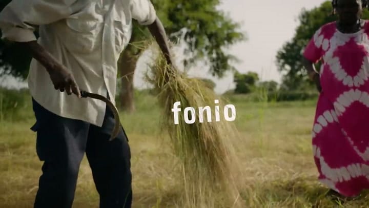 Bill Gates busca fomentar el consumo de fonio