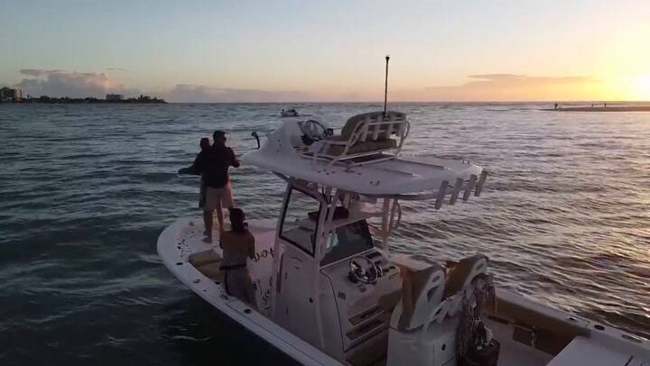 Una propuesta de matrimonio casi termina mal luego de que el anillo cayó al mar de Florida