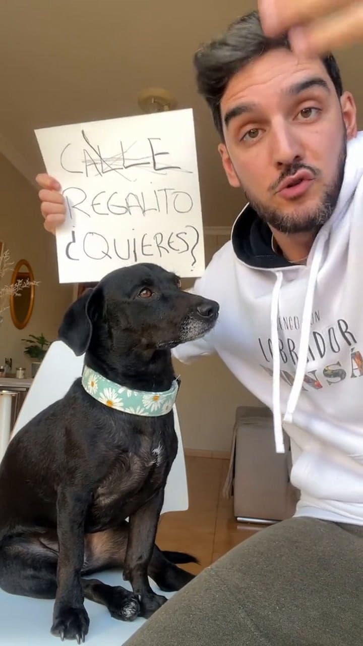 Palabras Prohibidas De Mi Perra.