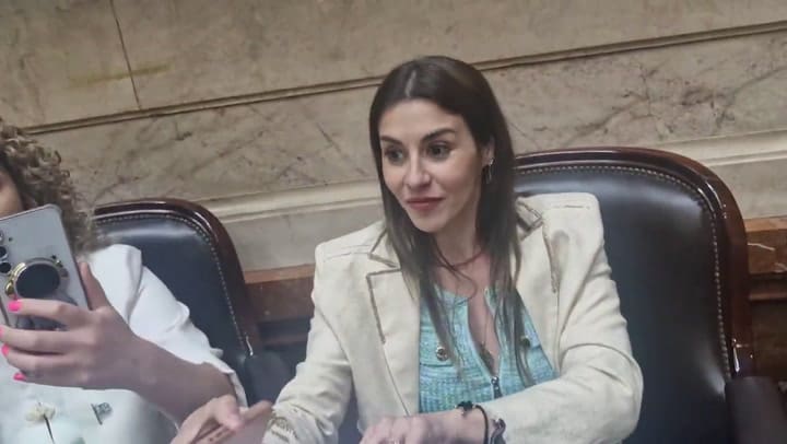 El cruce verbal entre las diputadas requirió la intervención de la presidencia de la Cámara