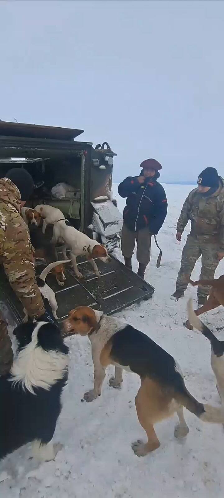 Rescate del puestero de una estancia patagónica y sus 13 perros