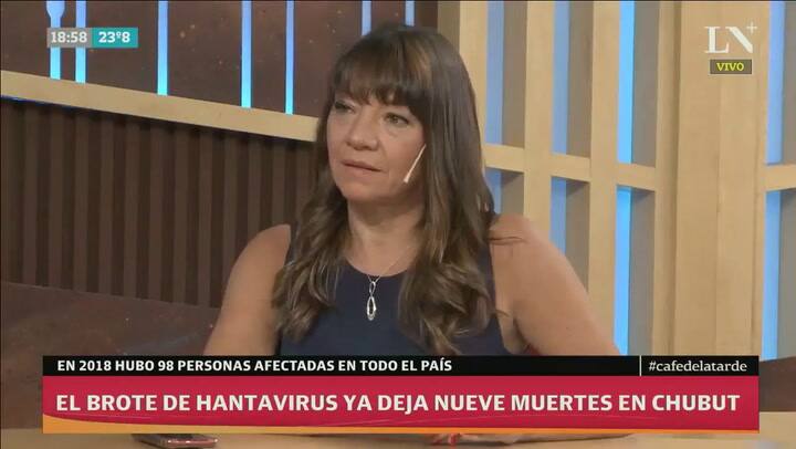 ¿Qué es el Hantavirus, el brote de Epuyén, y cuáles son sus síntomas?