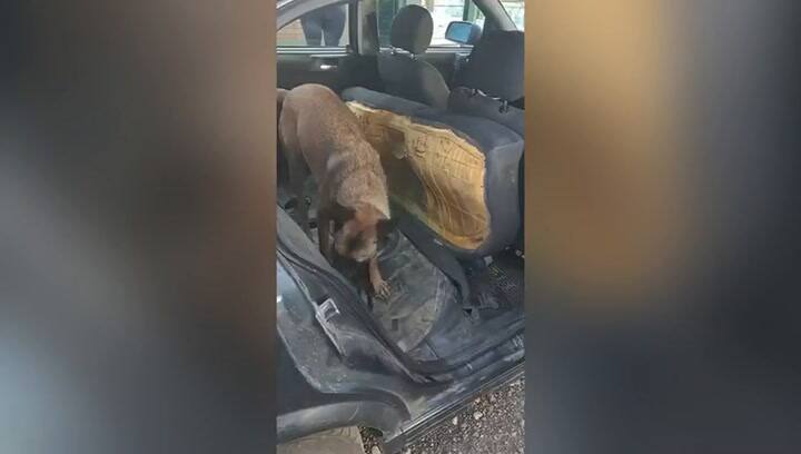 Secuestran 26 kilos de cocaína ocultos en el tanque de combustible y el baúl de un auto, en Córdoba