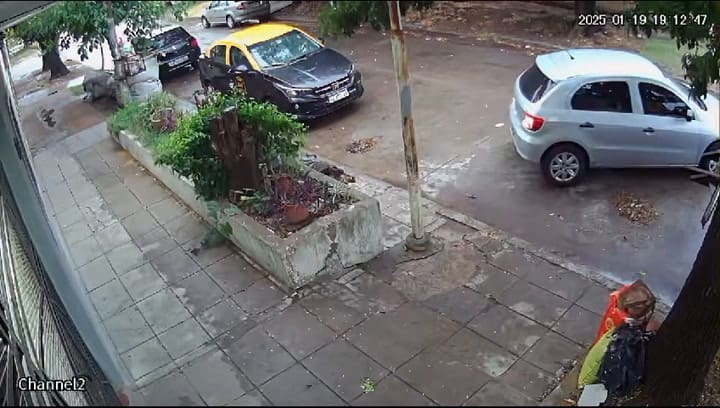 Aldo Bonzi: Le dispararon para robarle el auto cuando llegaba de vacaciones y se defendió a piedrazos