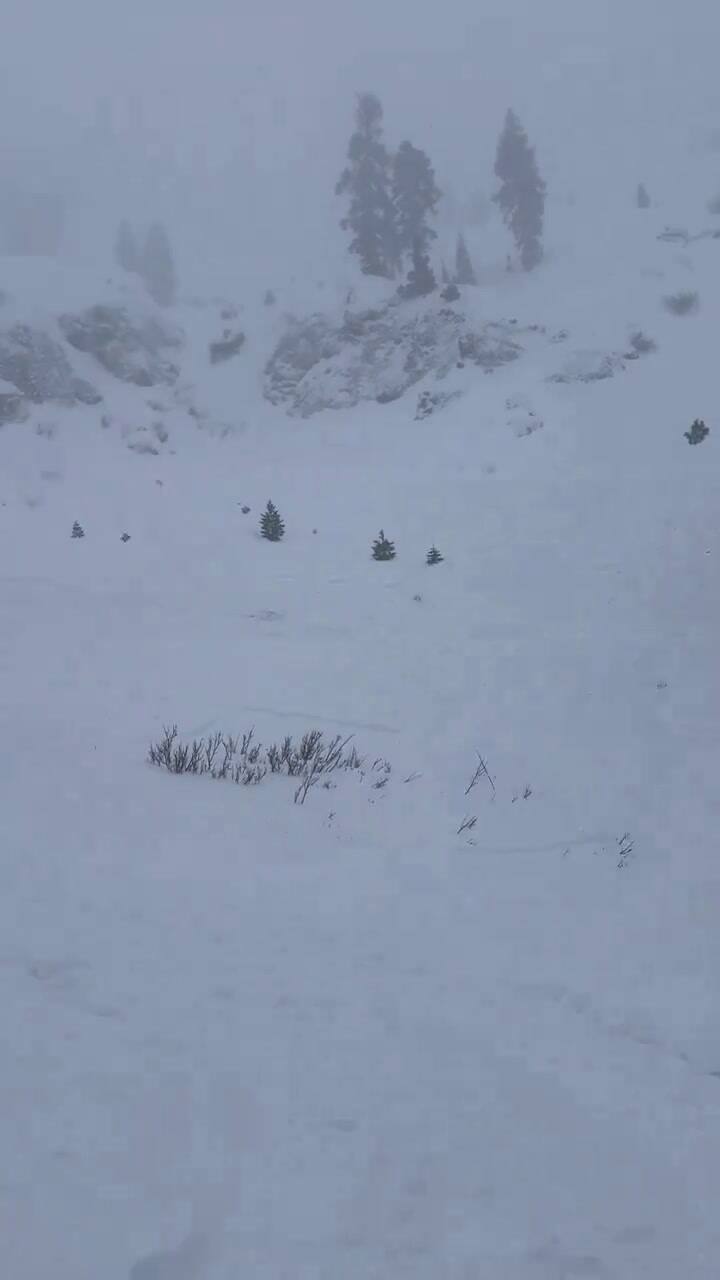 Rescatistas y perros buscan esquiadores tras la avalancha en California