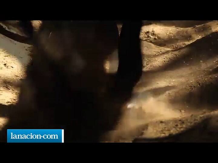 Polito' Ulloa, Domador de Caballos