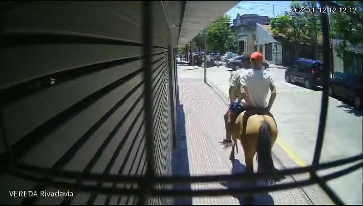 Caballo San Fernando