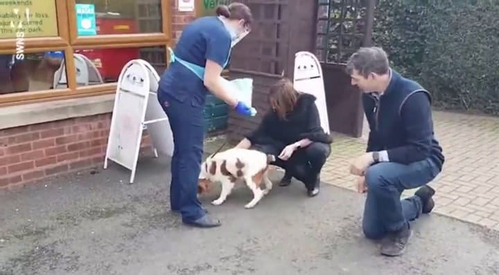 Una perra se reencuentra con sus dueños seis años después de haber sido robada - Fuente: Metro