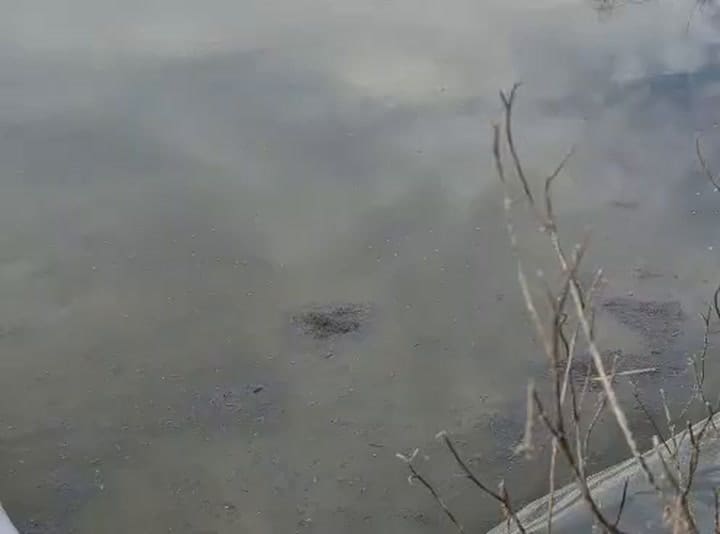 Contaminación en Carmen de Areco