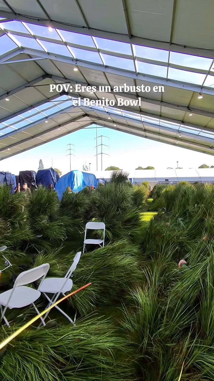 POV- Estás Dentro Del Traje De Arbusto