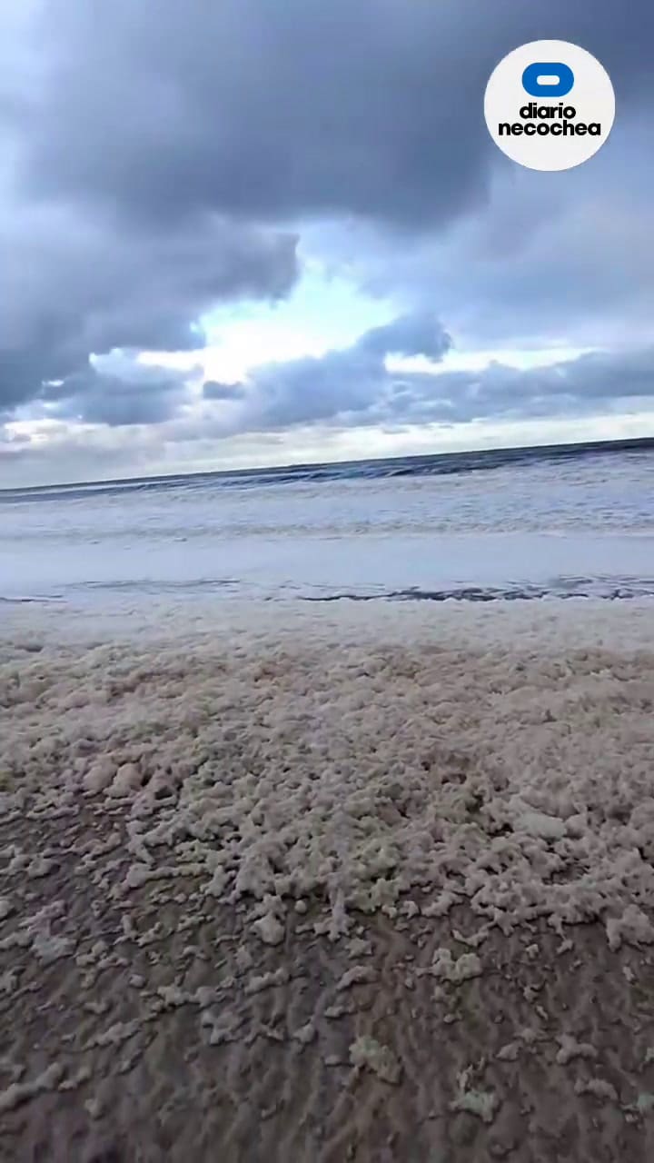 La Costa De Quequén Cubierta De Espuma Marina