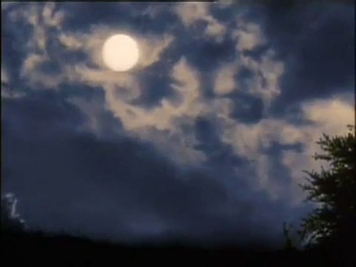 Presentando a El Zorro