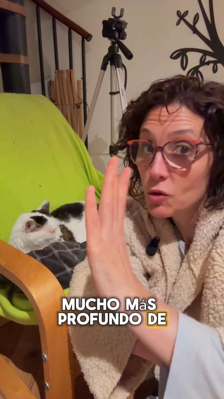 Por qué los gatos se estiran