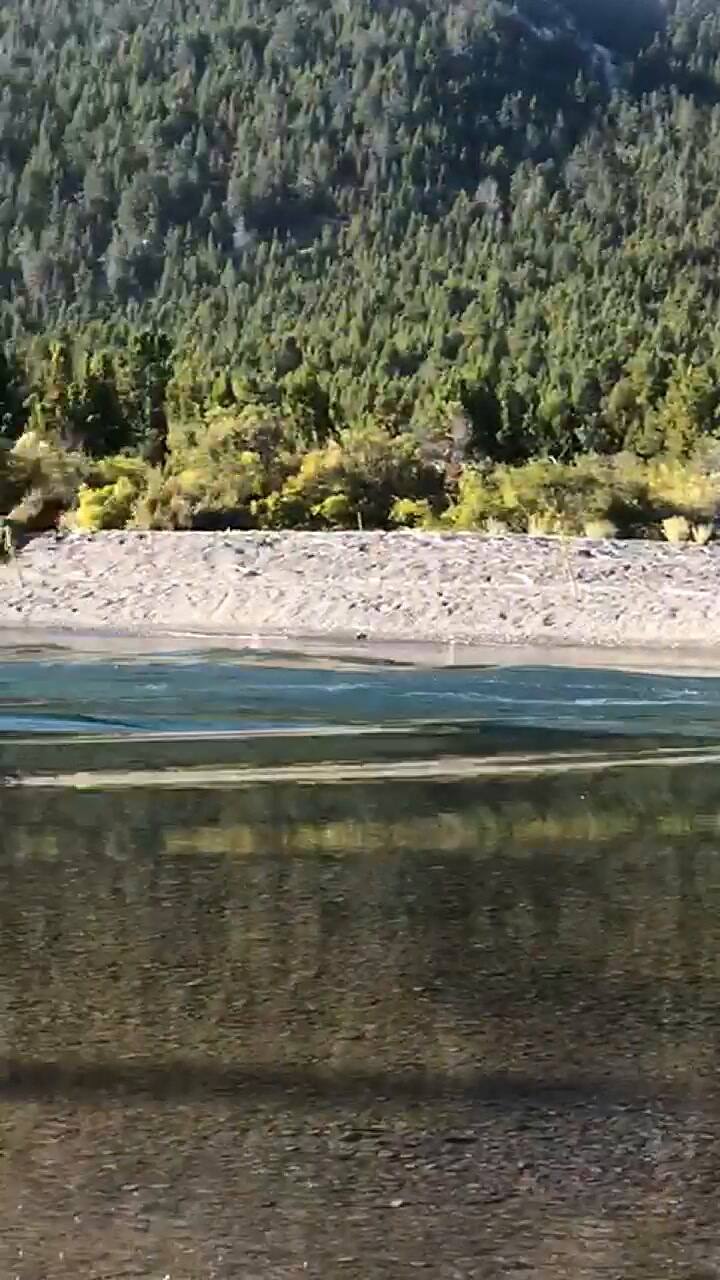 Combate del incendio forestal en la zona de Cholila, Chubut, con brigadistas y medios áereos