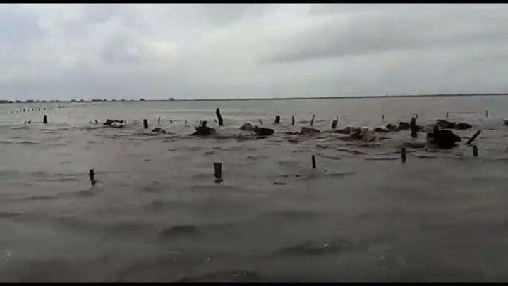 Los productores improvisan balsas para salvar a los terneros