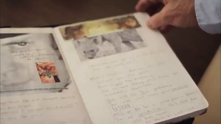 Heath Ledger's Joker Diary Too Young To Die Broadview Pictures