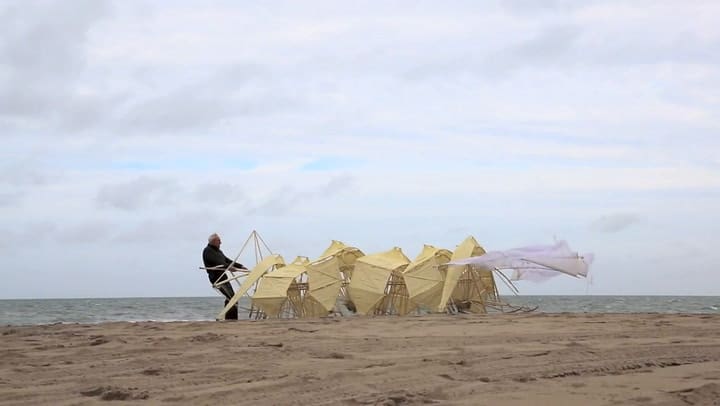 STRANDBEEST MIMICRI 2019