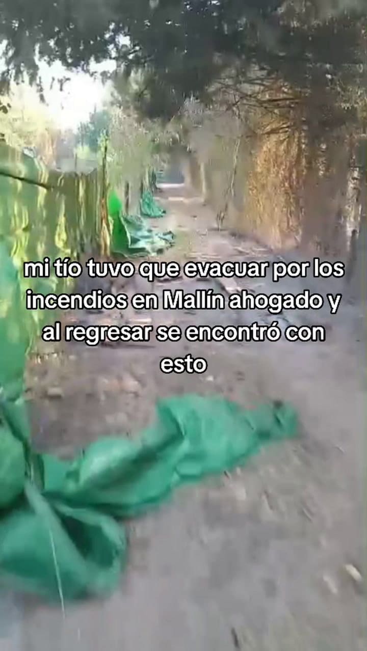 Milagro en medio del feroz incendio en Mallín Ahogado