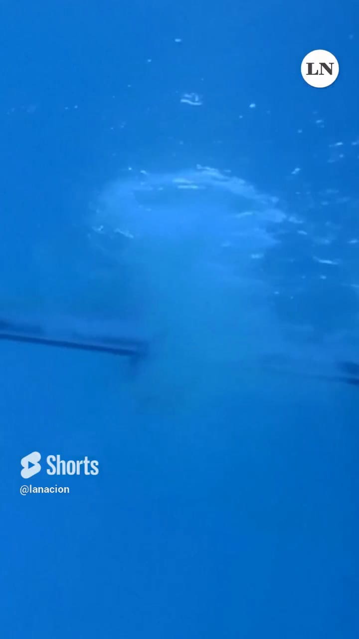 El Duro Golpe Del Atleta Alexis Jandard En La Inauguración De Una De Las Piletas De Los Jj.oo 2024