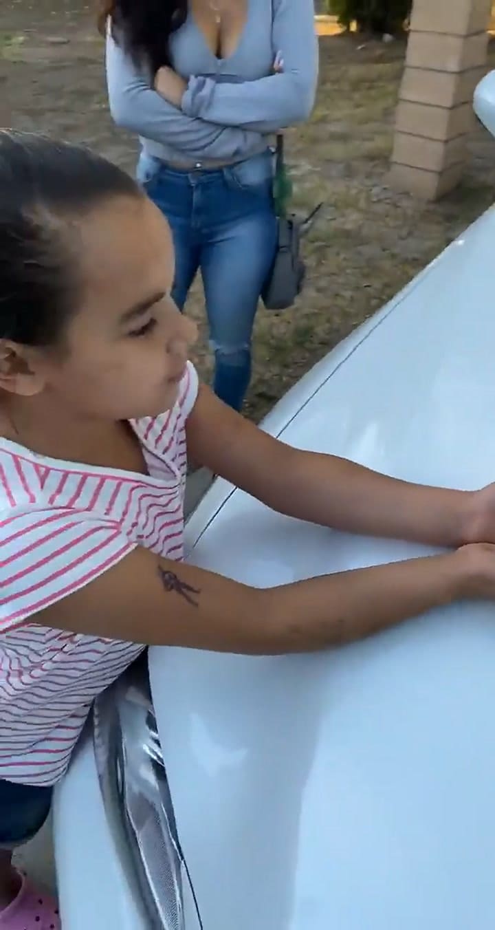 Chris confirmó su teoría cuando la mariposa se posó en la mano de un familiar