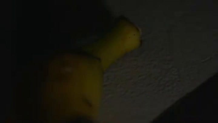 -the Banana That Broke The Internet Maurizio Cattelan's 'Comedian' Heads To Auction At Sotheby's