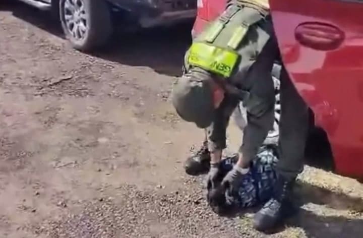 Rescate de un mono en Chaco