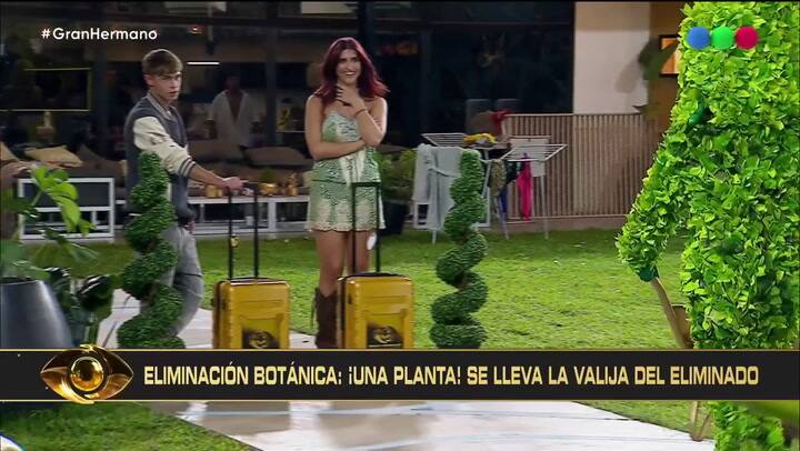 Así Se Llevaban La Valija De Tomy