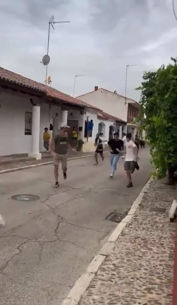 Un toro atacó a una mujer