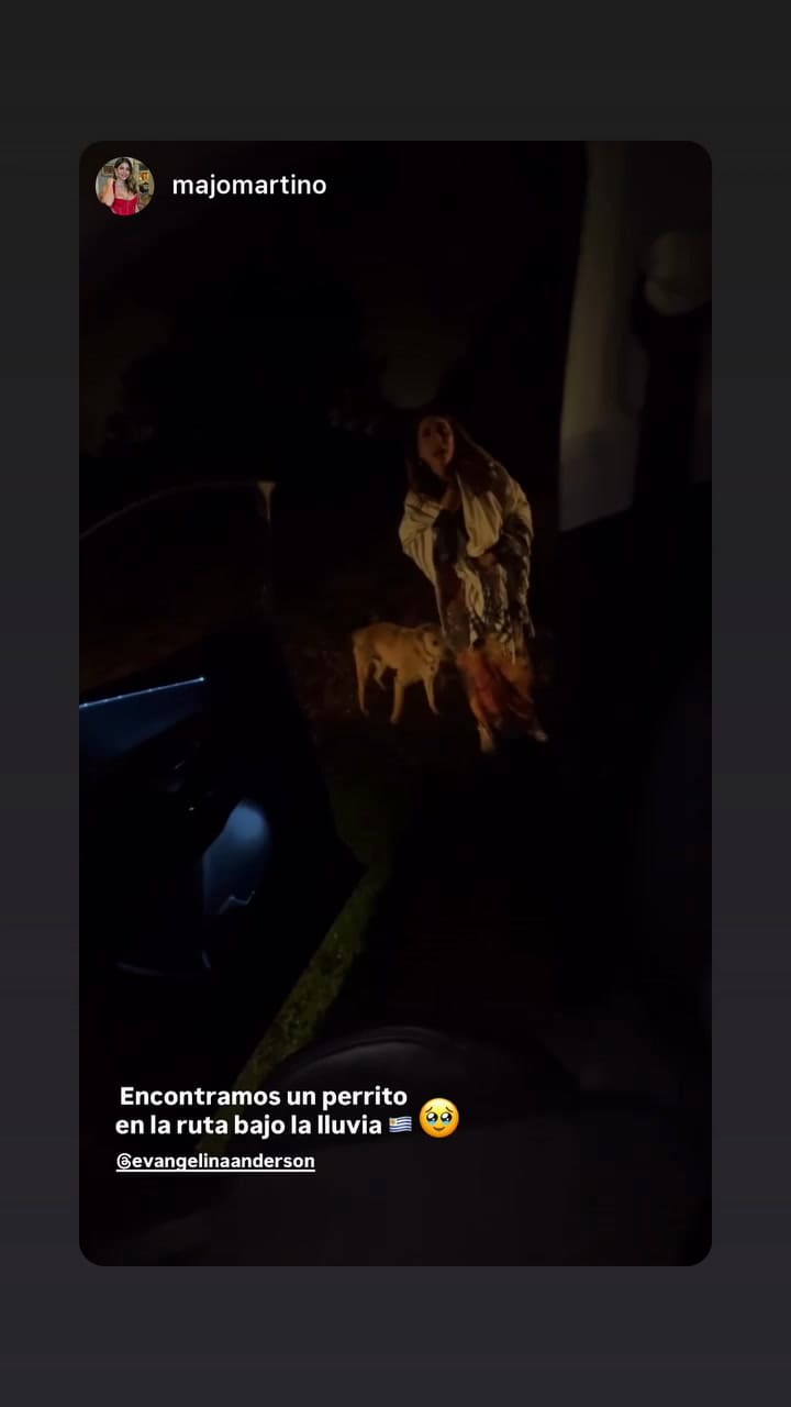 Evangelina Anderson encontró un perro perdido en la ruta en Uruguay