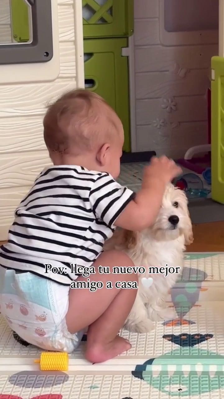 Lautaro Martínez presentó a su nueva mascota en las redes