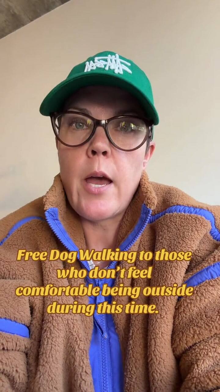 Una mujer de Chicago se ofrece a pasear perros de migrantes que no salen por miedo al ICE