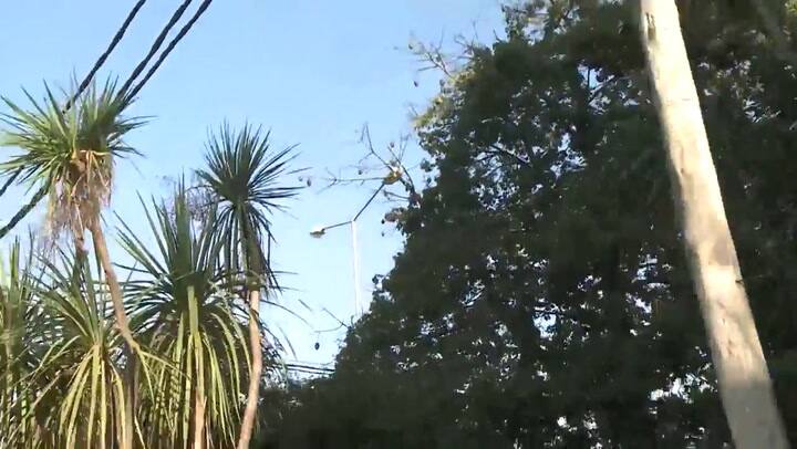 Imágenes Inéditas del allanamiento a la casa de José López