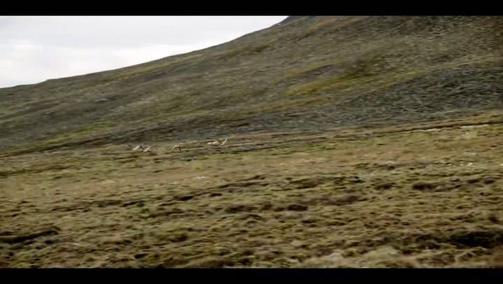 BANCO DE SEMILAS NORUEGA