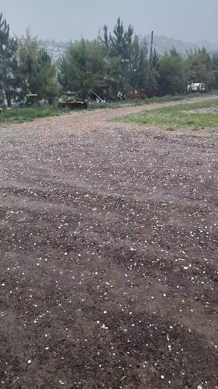 El momento de la tormenta en la zona de los plantines