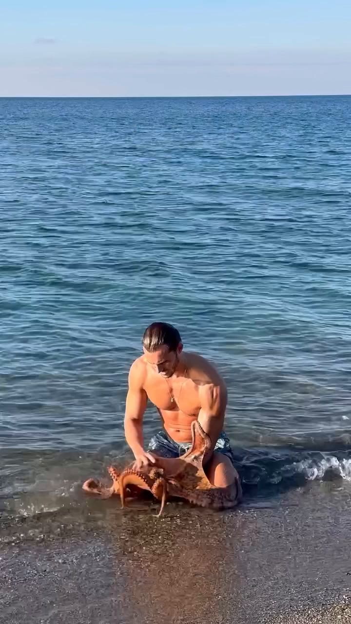 Un pulpo sujetó a un hombre en Islas Seychelles y se convirtió en viral