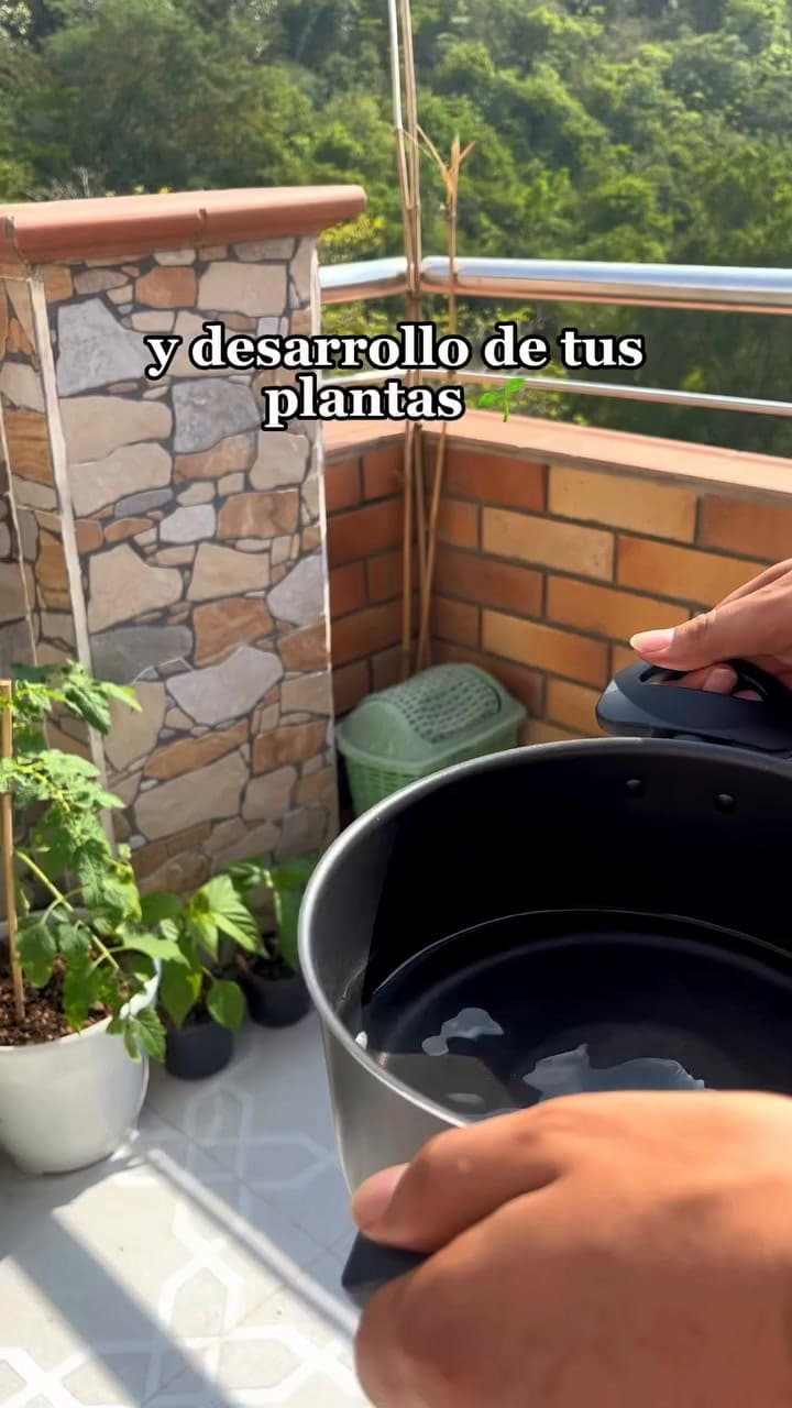 Qué hacer con el agua que cocina los huevos