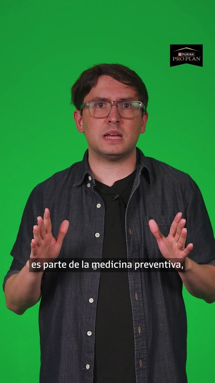 Vacunación en perros