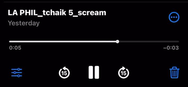 Una mujer experimentó un clímax 'de cuerpo completo' mientras escuchaba una orquesta filarmónica