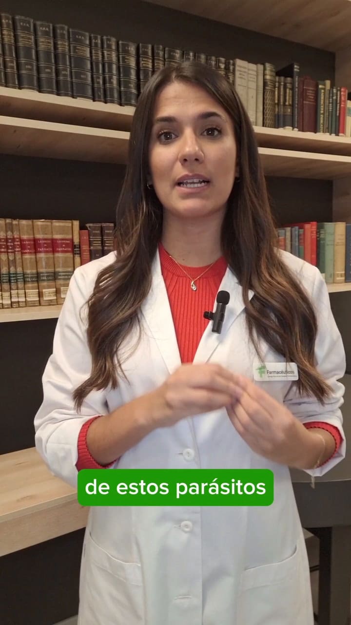 ¿Cómo Son Las Picaduras De Chinches En Las úLtimas Semanas, La Popularidad De Los Chinches Ha Crecido Debido A Que En Francia Se Ha Detectado Un Aumento De Las Picaduras De Estos Parásitos, Que Se Producen Por