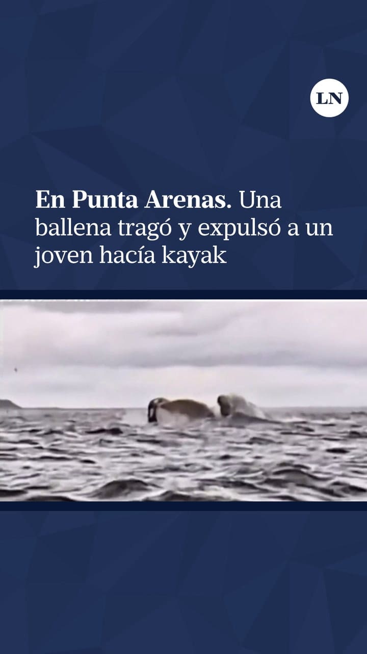 El impactante momento en el que una ballena tragó y expulsó a un joven que hacía kayak