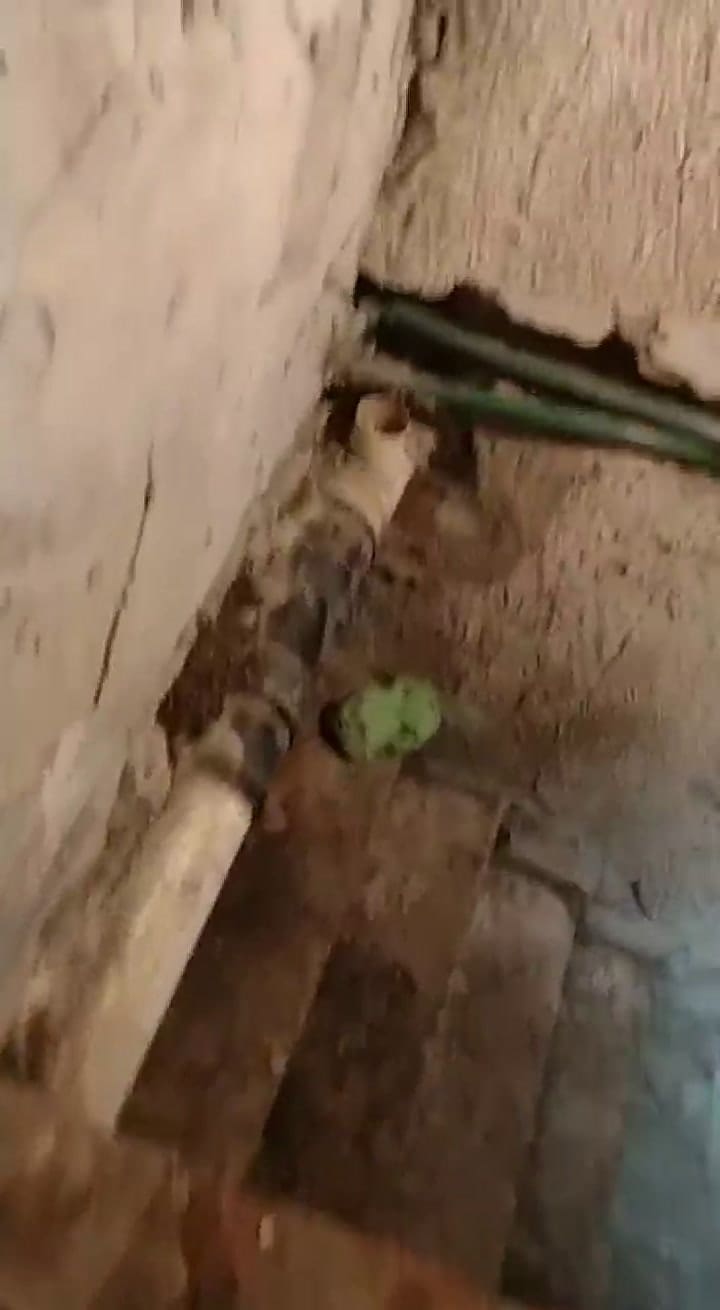 Así es el sótano de la casa quinta de Ingeniero Maschwitz donde una banda acopiaba cocaína