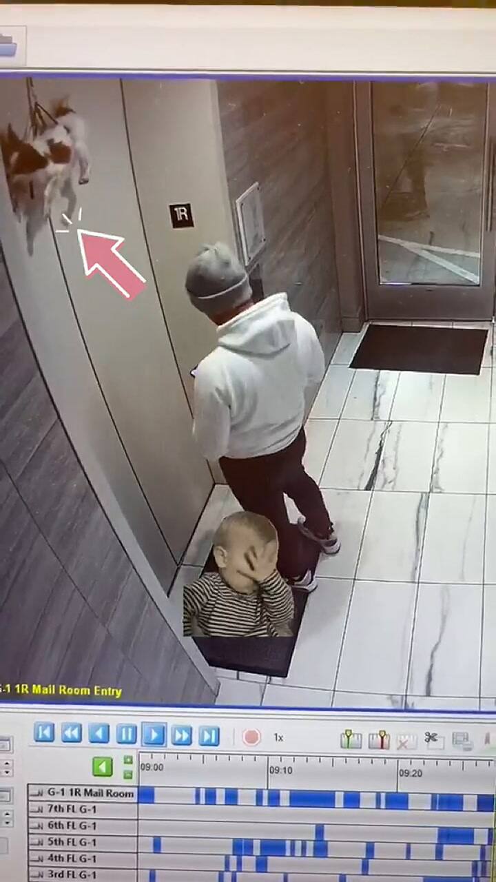 Un hombre llamó el ascensor y descubrió que había un perro colgado