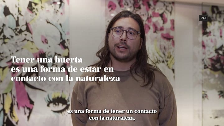 Ln Pae Web Huerta V01 Graph