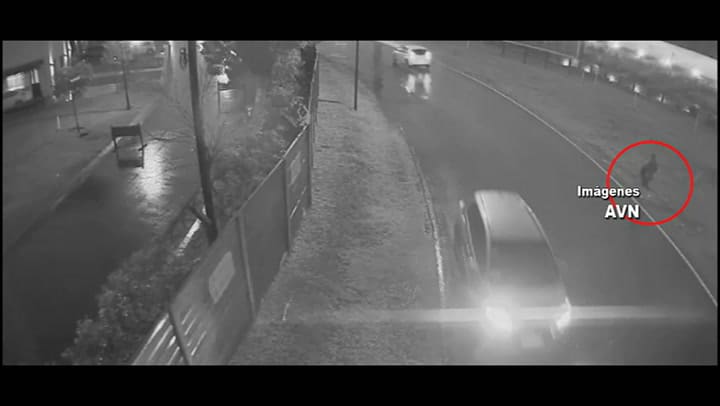 Salió de la cárcel hace 25 días y lo detuvieron por robar en una casa de Nordelta