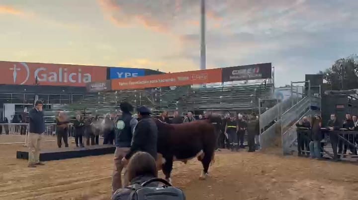 La Rural, llega el primer animal