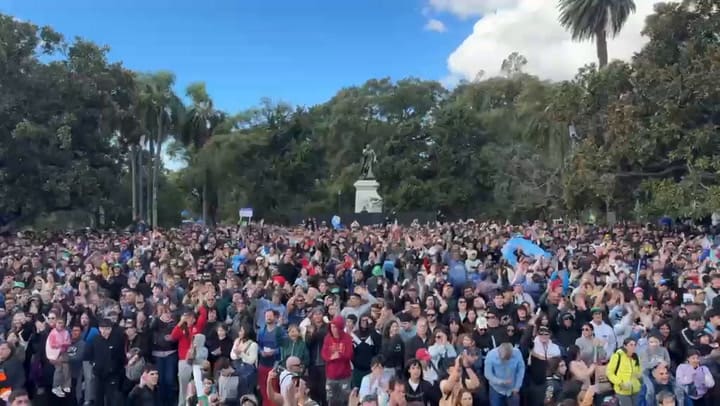 Fervor por Franco Colapinto