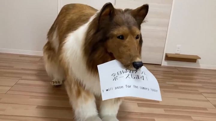 El disfraz de un hombre que se quería convertir en un perro Gran Danés