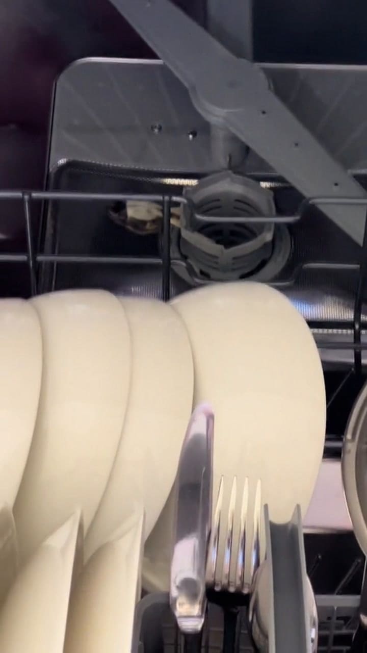 El espeluznante hallazgo de una mujer australiana en su lavavajillas