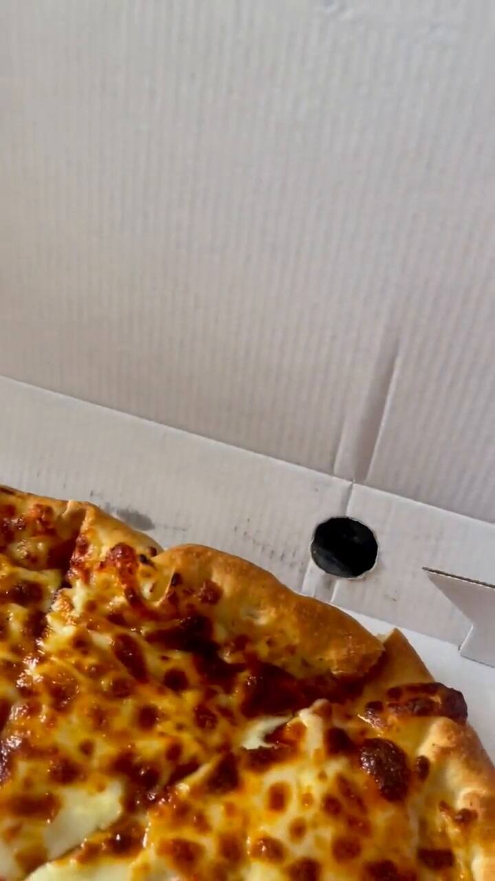 El video viral de Teddy comiendo pizza