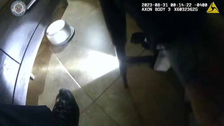 Una serpiente ingresó a una casa para resguardarse del huracán Idalia